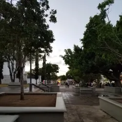 Iglesia San Blas de Illescas - Coamo