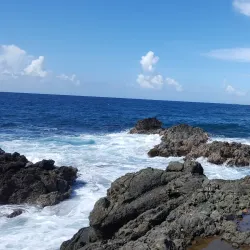 Reserva Natural Las Bocas - Coamo