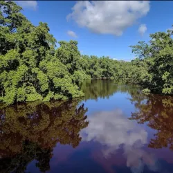 Reserva Natural Las Bocas - Coamo