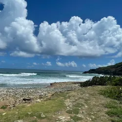 Reserva Natural Las Bocas - Coamo