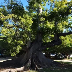 Reserva Natural Las Bocas - Coamo