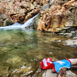 Charco de Oro - Dorado