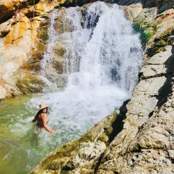 Charco de Oro - Dorado