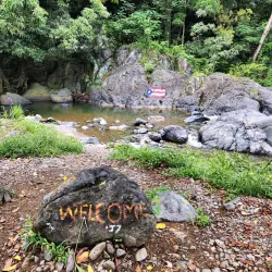 Charco de Oro - Dorado