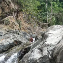 Charco de Oro - Dorado