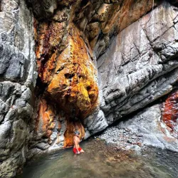 Charco de Oro - Dorado