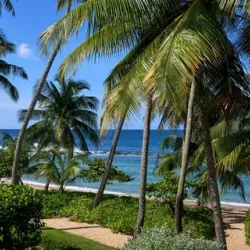 Dorado Beach, a Ritz-Carlton Reserve - Dorado