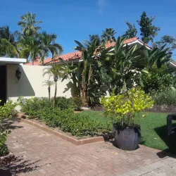 Dorado Golf Club - Dorado