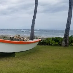 Dorado Golf Club - Dorado