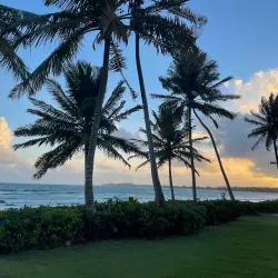 Dorado Golf Club - Dorado