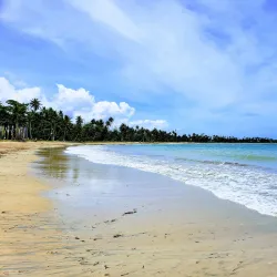 Dorado Golf Club - Dorado