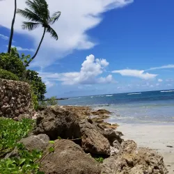 Dorado Golf Club - Dorado