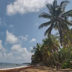 Playa de los Pinos - Dorado