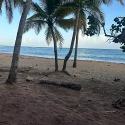 Playa de los Pinos - Dorado