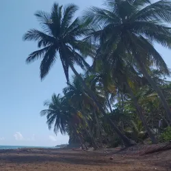 Playa de los Pinos - Dorado