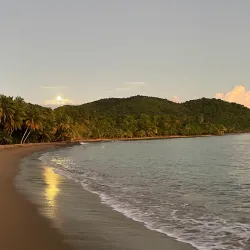 Playa de los Pinos - Dorado