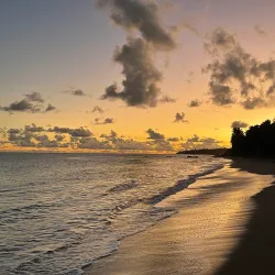 Playa de los Pinos - Dorado