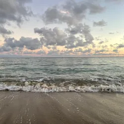 Playa de los Pinos - Dorado