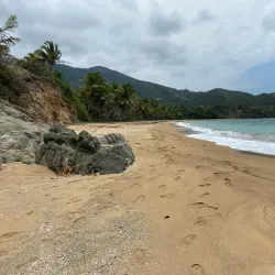 Playa de los Pinos - Dorado
