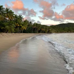Playa de los Pinos - Dorado