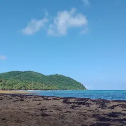 Playa de los Pinos - Dorado