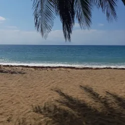 Playa de los Pinos - Dorado