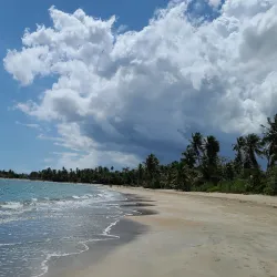 Playa Sardinera - Dorado