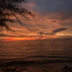 Playa Sardinera - Dorado
