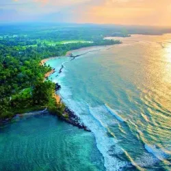 Playa Sardinera - Dorado