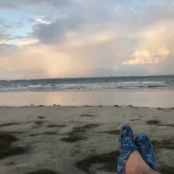 Playa Sardinera - Dorado