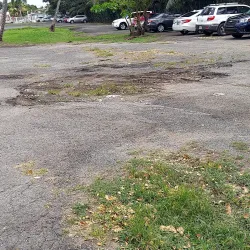 Playa Sardinera - Dorado