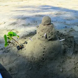 Playa Sardinera - Dorado