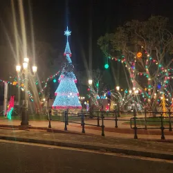 Plaza de Dorado - Dorado