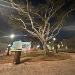 Plaza de Dorado - Dorado