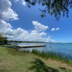 Reserva Natural Laguna Tortuguero - Dorado