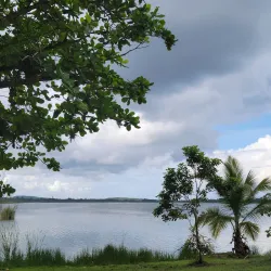Reserva Natural Laguna Tortuguero - Dorado