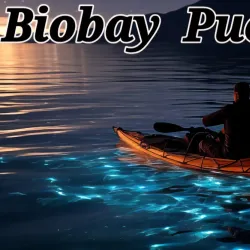 Bioluminescent Bay (Laguna Grande) - Fajardo