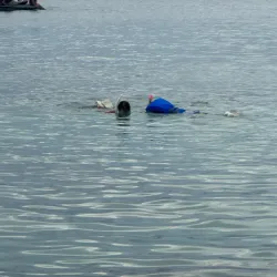 Bioluminescent Bay (Laguna Grande) - Fajardo