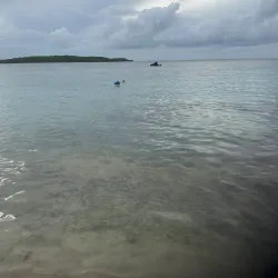 Bioluminescent Bay (Laguna Grande) - Fajardo