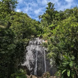 El Yunque National Forest (nearby) - Fajardo