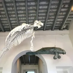 Fajardo Lighthouse (El Faro de Fajardo) - Fajardo