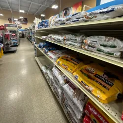 Fajardo Town Plaza - Fajardo