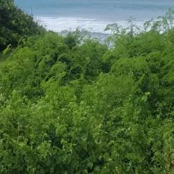 Las Cabezas de San Juan Nature Reserve - Fajardo
