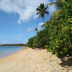 Las Cabezas de San Juan Nature Reserve - Fajardo