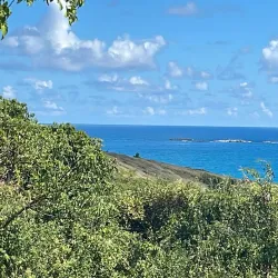 Las Cabezas de San Juan Nature Reserve - Fajardo