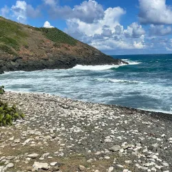 Las Cabezas de San Juan Nature Reserve - Fajardo