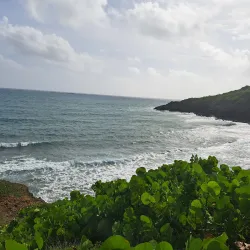 Las Cabezas de San Juan Nature Reserve - Fajardo