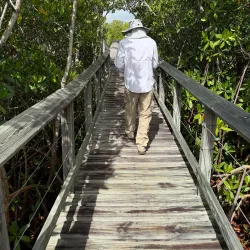 Las Cabezas de San Juan Nature Reserve - Fajardo