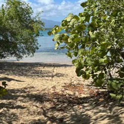 Las Cabezas de San Juan Nature Reserve - Fajardo