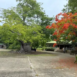 Las Cabezas de San Juan Nature Reserve - Fajardo